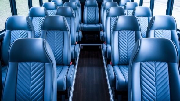 20 passenger minibus interior temple