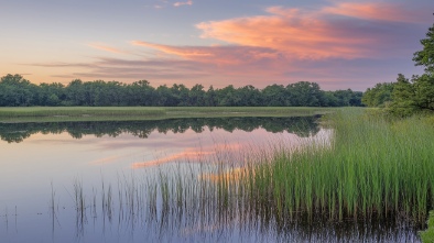 lake waco wetlands
