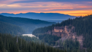 north forest and cypress canyon