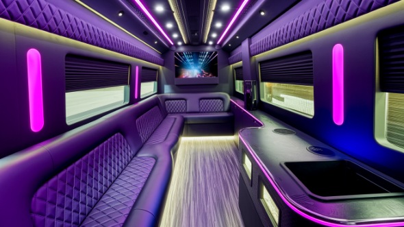 sprinter limo rental interior temple